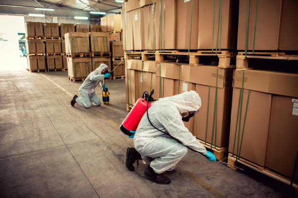 Professional Pest Control in Stilwell, OK
