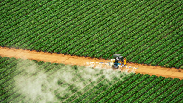 Best Pest Prevention Services  in Stilwell, OK