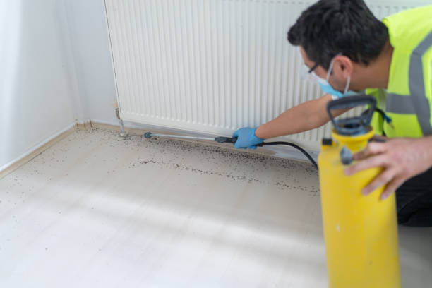 Best Pest Inspection Near Me  in Stilwell, OK