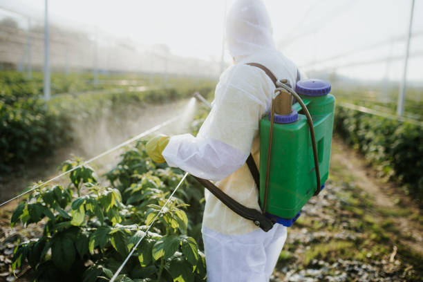 Best Residential Pest Control  in Stilwell, OK